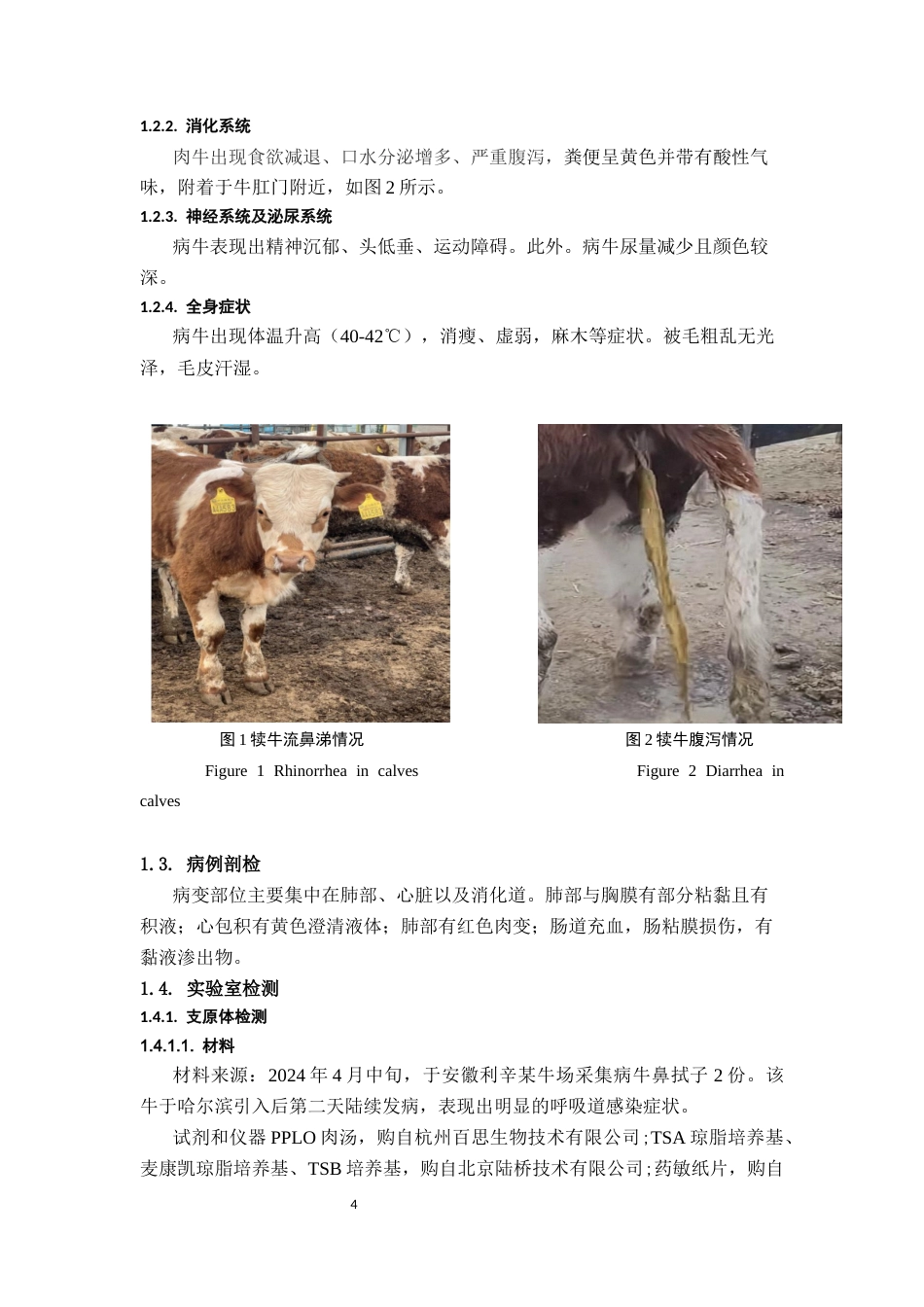 25年CH动物医学-一例肉牛运输应激综合征-约9024字符终稿.docx_第5页