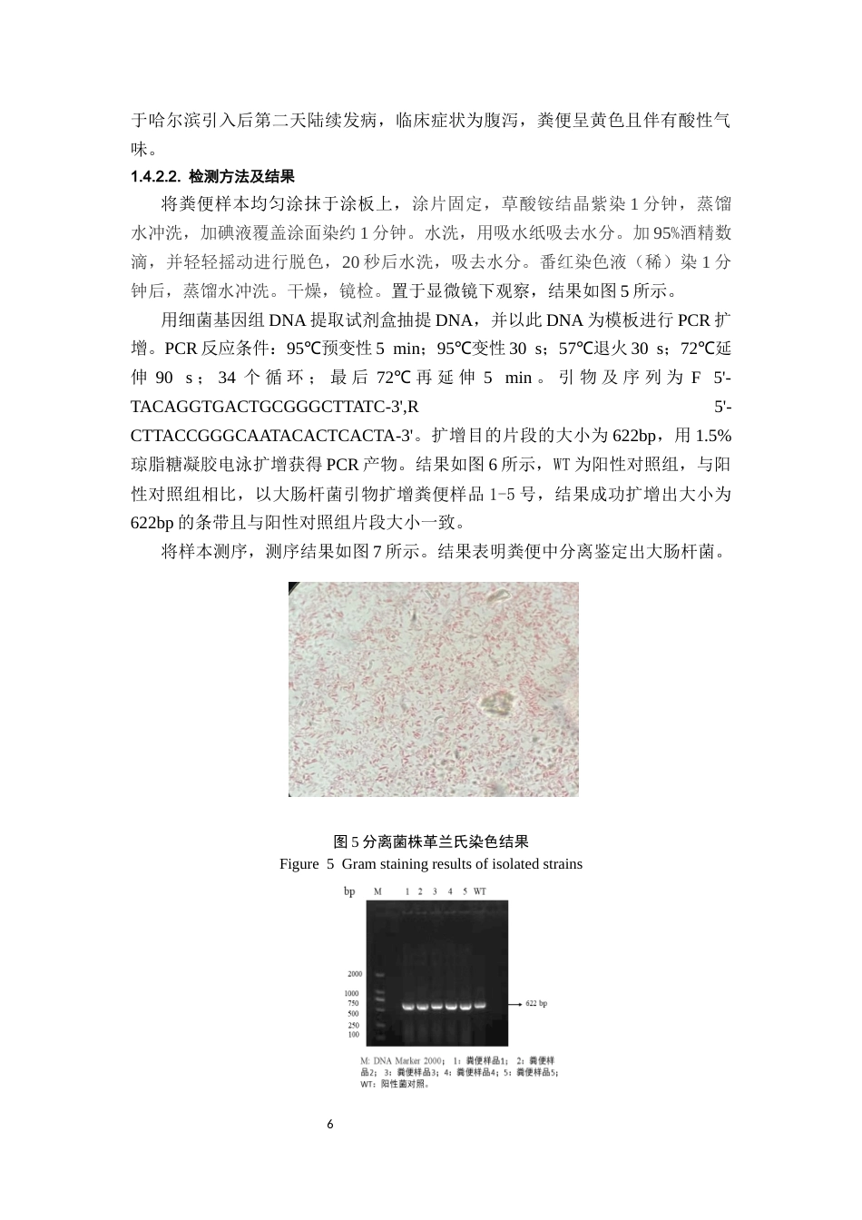 25年CH动物医学-一例肉牛运输应激综合征-约9024字符终稿.docx_第7页