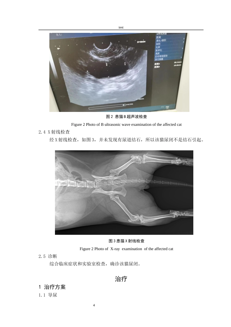 25年CH动物医学 一例猫尿闭的诊治-约5123字符终稿.docx_第7页