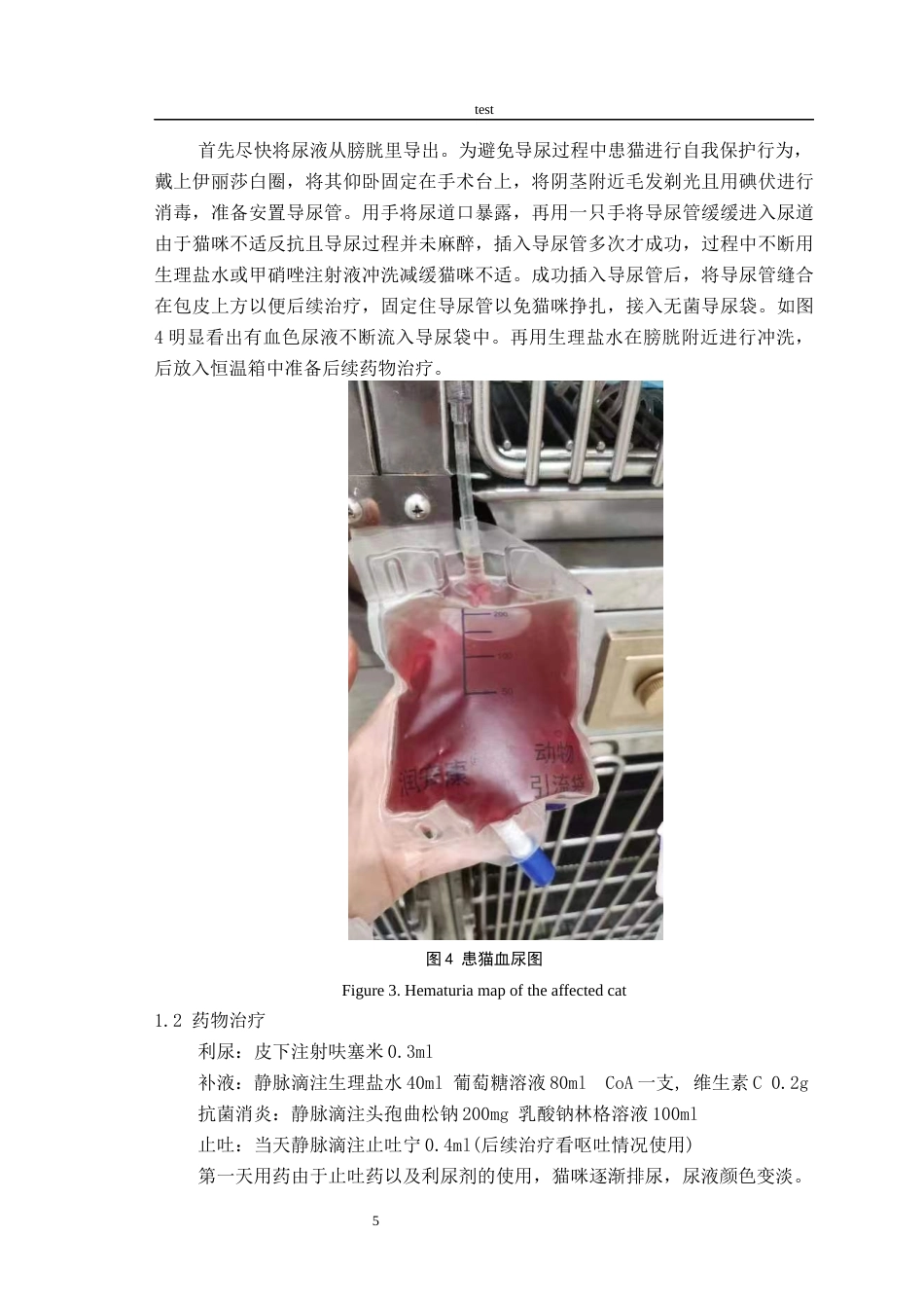 25年CH动物医学 一例猫尿闭的诊治-约5123字符终稿.docx_第8页