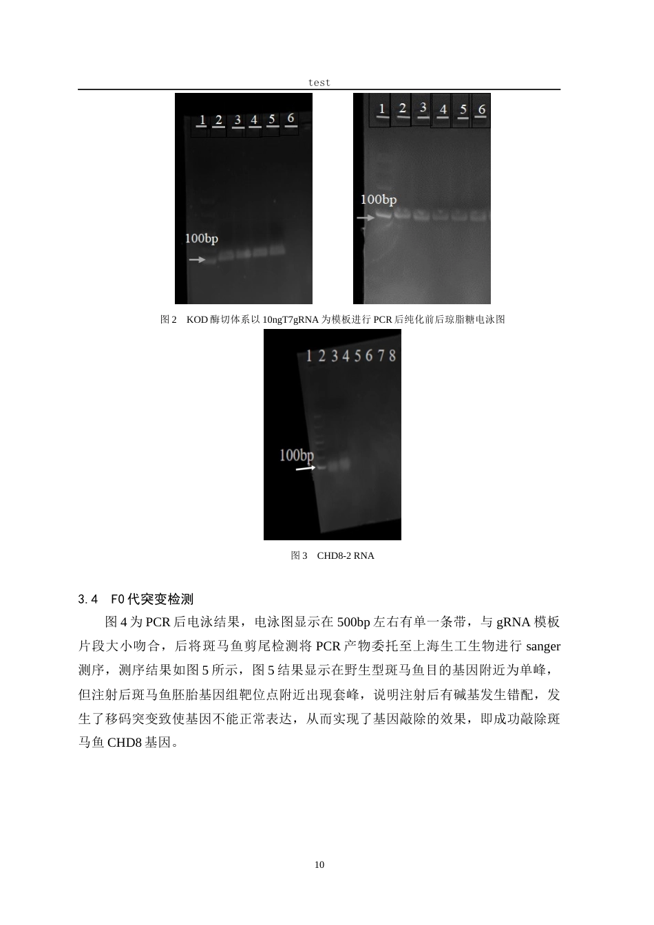 25年CH动物医学 利用CRISPR-cas9技术构建斑马鱼自闭症易感基因CHD8基因敲除模型-约14103字符终稿.docx_第10页