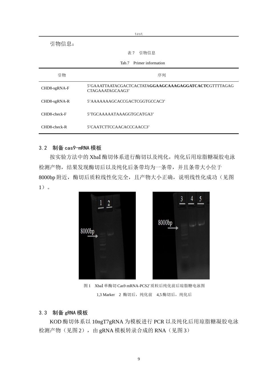 25年CH动物医学 利用CRISPR-cas9技术构建斑马鱼自闭症易感基因CHD8基因敲除模型-约14103字符终稿.docx_第9页