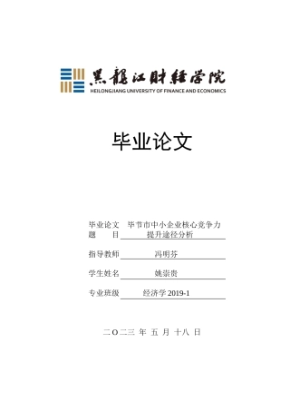 23年WP经济学-毕节市中小企业核心竞争力提升途径分析-2019510886-姚崇贵-附件.doc