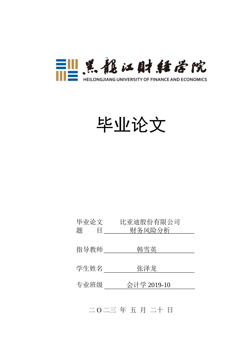 23年WP会计学-比亚迪股份有限公司财务风险分析-2019510455-张泽龙.docx_第1页