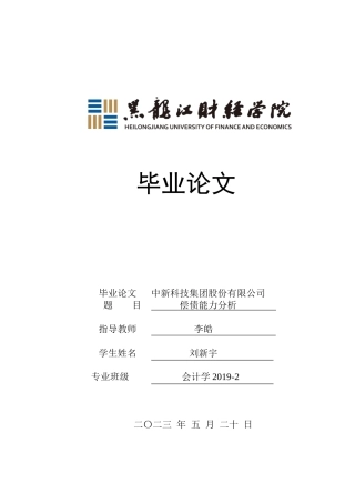 23年WP会计学-中新科技集团股份有限公司偿债能力分析-2019512681-刘新宇.docx