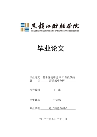 23年WP电子商务-基于泷悦跨境FB广告投放的营销策略分析-2019512044-尹志伟.docx