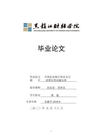 23年WP金融学-中国农业银行明水支行消费信贷分析-2019511423-桑猛.doc