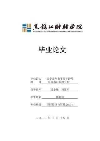 23年WP国际经济与贸易-辽宁盖州市苹果干跨境电商出口问题分析-2019510839-熊测琼.doc