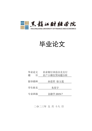 23年WP金融学-农业银行沛县汉北支行农户小额信贷问题分析-2019510476-朱星宇.doc