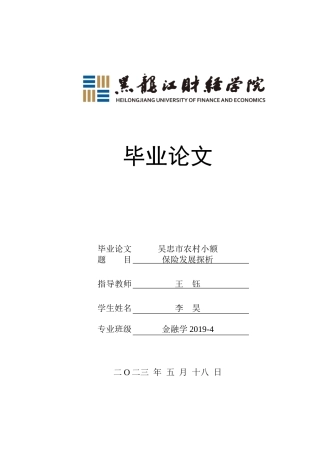 23年WP金融学-吴忠市农村小额保险发展探析-2019510744-李昊.doc