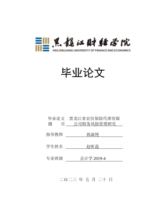 23年WP会计学-黑龙江省宏信保险代理有限公司财务风险管理研究-2019511912-赵昕蕊.doc