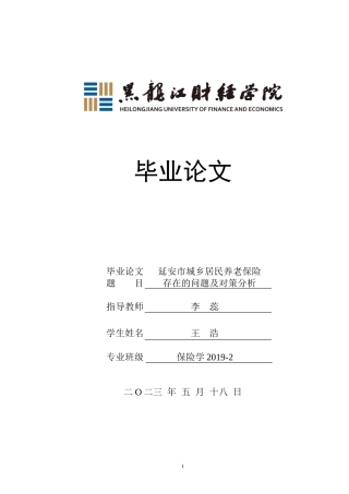 23年WP保险学-延安市城乡居民养老保险存在的问题及对策分析-2019511115-王浩.doc