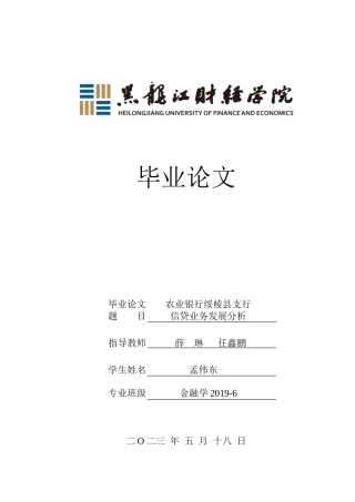 23年WP金融学-农业银行绥棱县支行信贷业务发展分析-2019511505-孟伟东.doc