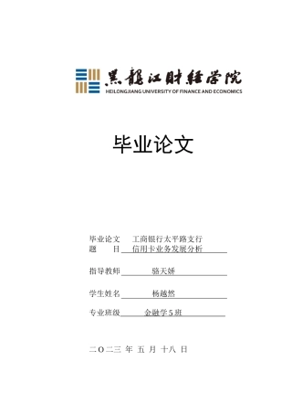 23年WP金融学-工商银行太平路支行信用卡业务发展分析-2019512837-杨越然.doc
