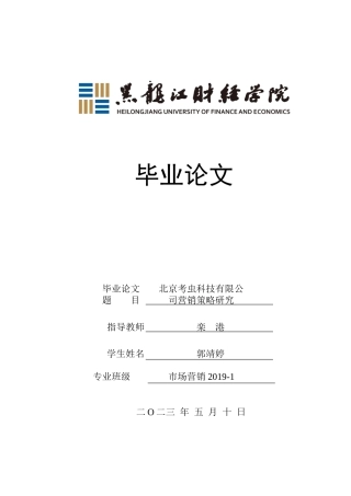 23年WP市场营销-北京考虫科技有限公司营销策略研究-2019511010-郭靖婷.doc