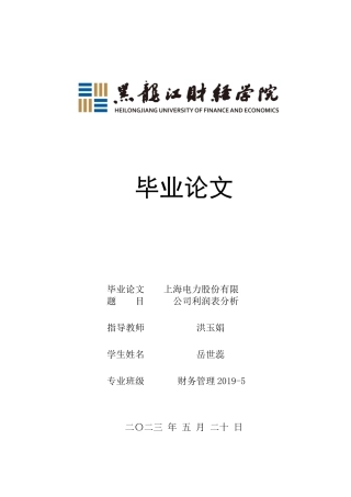 23年WP财务管理-上海电力股份有限公司利润表分析-2019510790-岳世蕊.docx