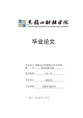 23年WP金融学-穆棱市远东村镇银行涉农贷款信用风险分析-2019513087-杨克杰.doc
