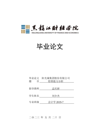 23年WP会计学-阳光城集团股份有限公司偿债能力分析-2019510950-刘少杰.docx