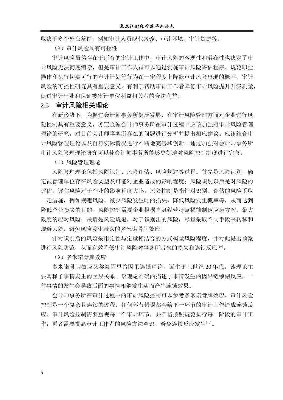 23年WP审计学-苏亚金诚会计师事务所审计风险控制研究-2019512972-朱婧妍.docx_第10页