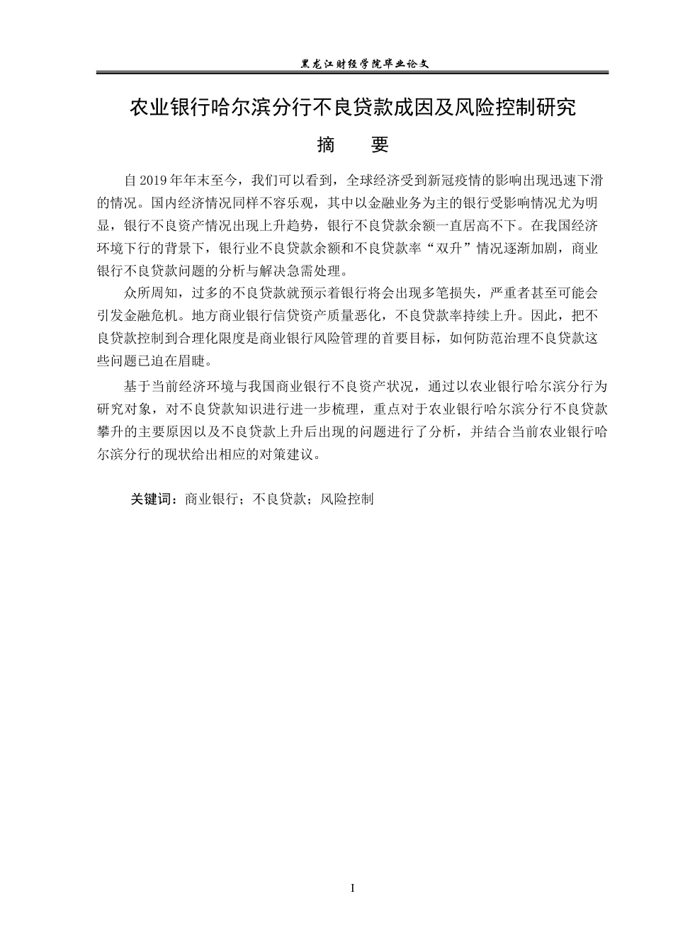 23年WP金融学-中国农业银行哈尔滨分行不良贷款成因及风险控制研究-2019512635-翟航.doc_第2页