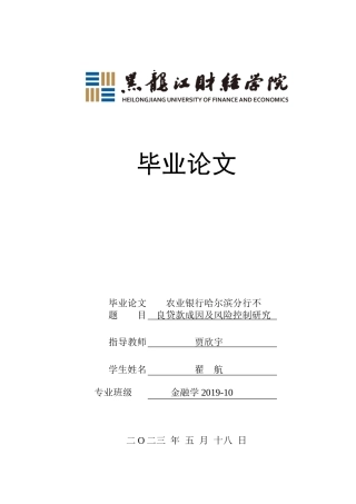 23年WP金融学-中国农业银行哈尔滨分行不良贷款成因及风险控制研究-2019512635-翟航.doc