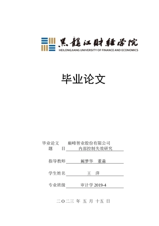 23年WP审计学-巅峰智业股份有限公司内部控制失效研究-2019510989-王萍.doc