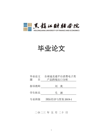 23年WP国际经济与贸易-全球速卖通平台消费电子类产品跨境出口分析-2019511340-毛涵.doc