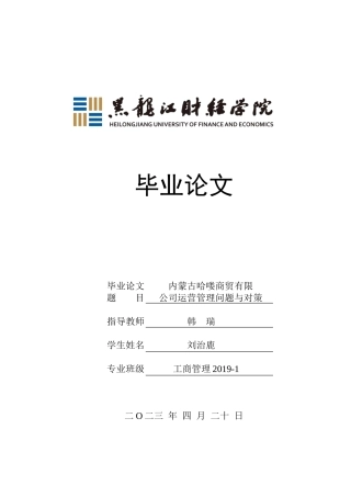 23年WP工商管理-内蒙古哈喽商贸有限公司运营管理问题与对策-2019510444-刘治鹿.doc