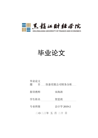 23年WP会计学-恒泰有限公司财务分析-2019512263-贺思琪.docx