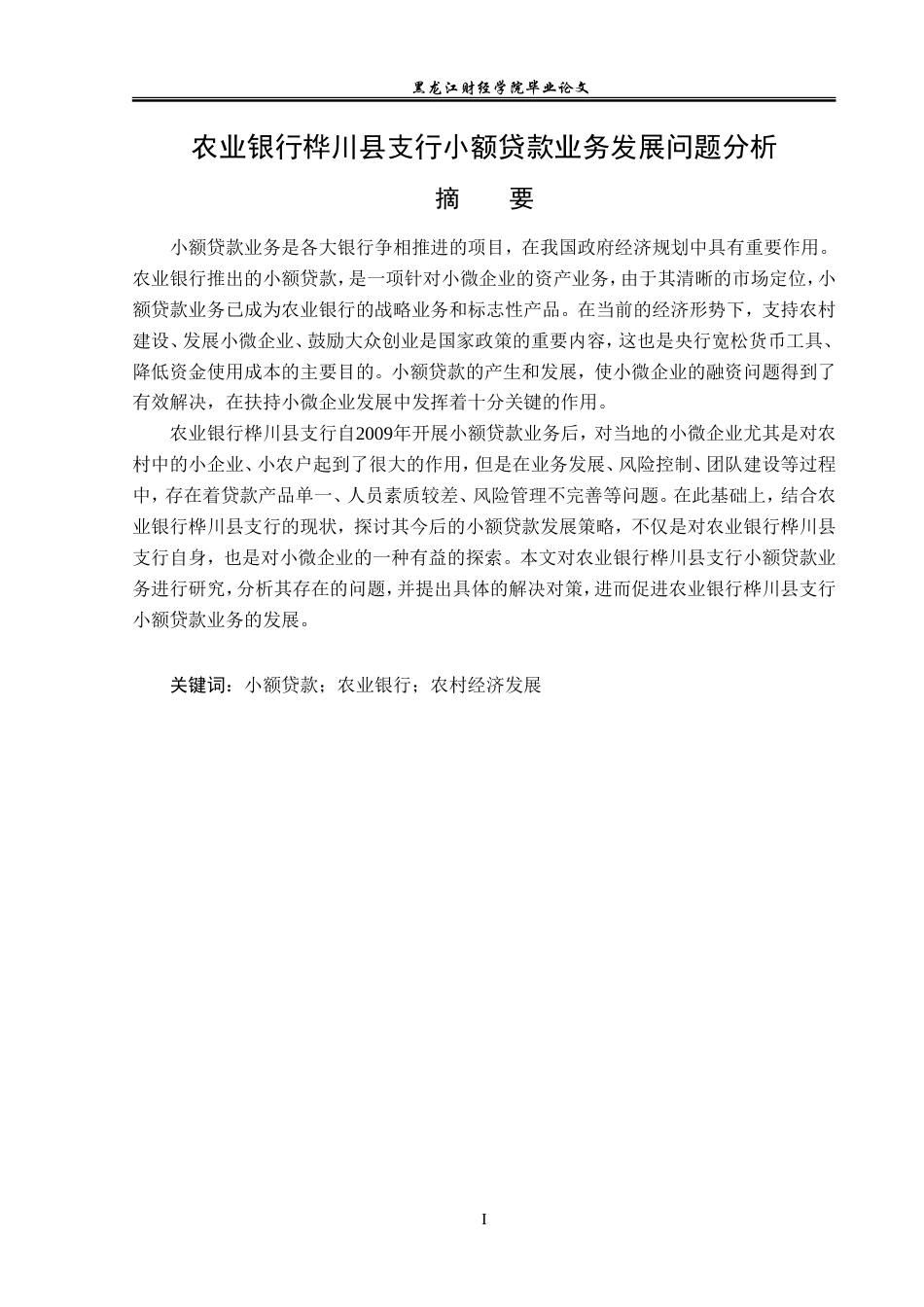 23年WP金融学-农业银行桦川县支行小额贷款业务发展问题分析-2019512361-王子龙.doc_第2页