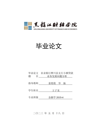 23年WP金融学-农业银行桦川县支行小额贷款业务发展问题分析-2019512361-王子龙.doc