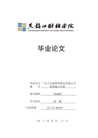 23年WP会计学-广东天安新材料股份有限公司偿债能力分析-2019510762-赵懂.docx
