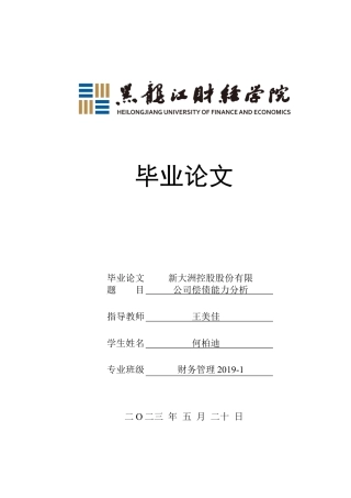 23年WP财务管理-新大洲控股股份有限公司偿债能力分析-2019511721-何柏迪.docx