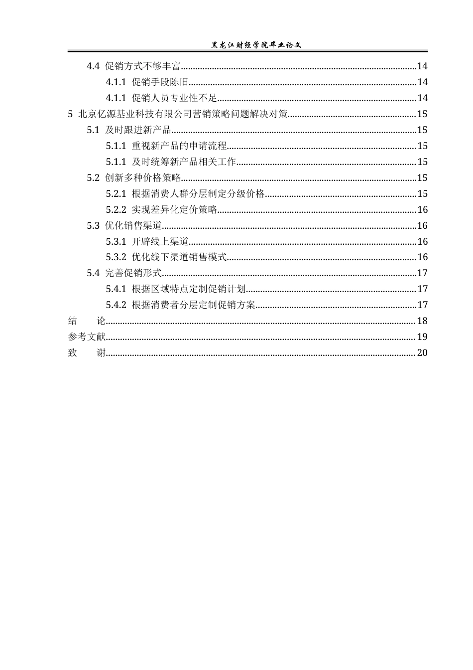 23年WP市场营销-北京亿源基业科技有限公司营销策略研究-2019511143-王帅.doc_第5页