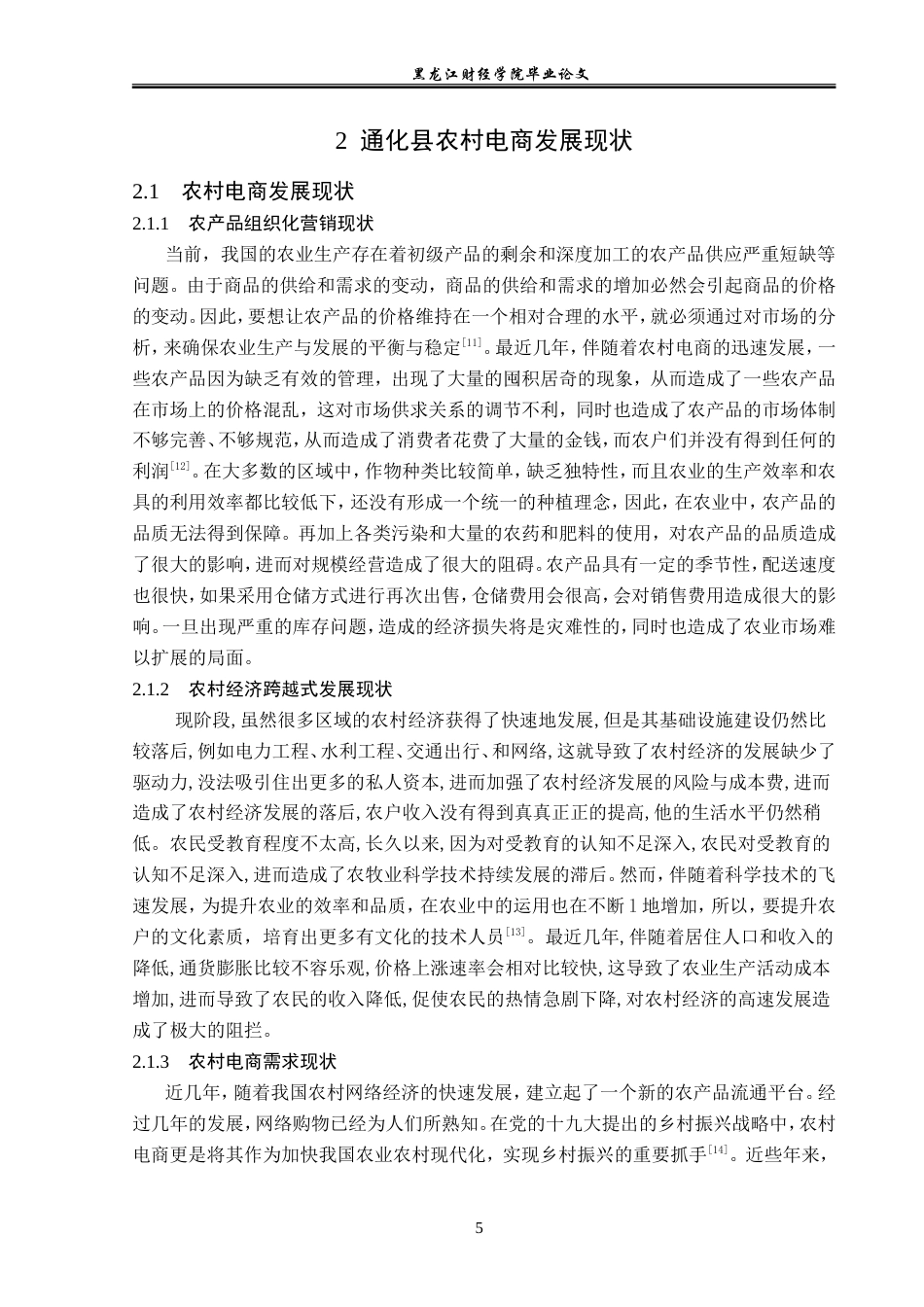 23年WP电子商务-《通化县农村电商存在的问题及解决对策》-2019511055-张硕.doc_第10页