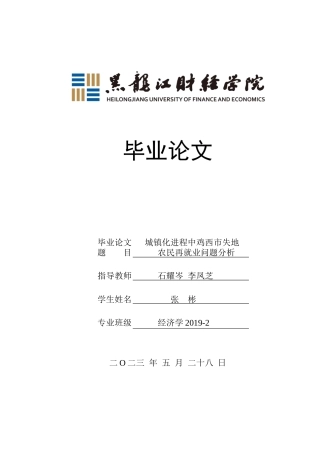 23年WP经济学-城镇化进程中鸡西市失地农民再就业问题分析-2019512862-张彬.docx