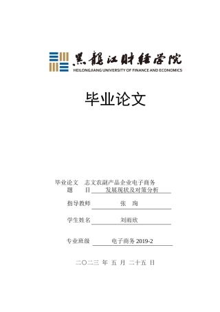 23年WP电子商务-志文农副产品企业电子商务发展现状及对策分析-2021520058-刘雨欣.docx