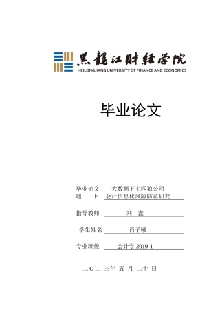 23年WP会计学-大数据下七匹狼公司会计信息化风险研究-2019510941-肖子曦.doc