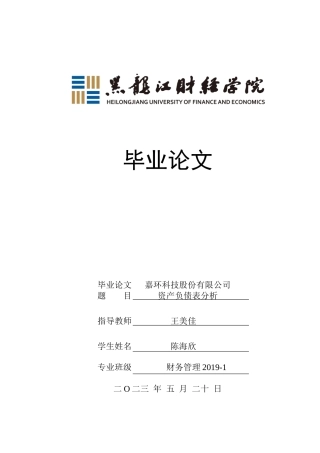 23年WP财务管理-嘉环科技股份有限公司资产负债表分析-2019512197-陈海欣.docx