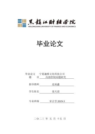 23年WP审计学-宁夏趣推文化科技公司内部控制问题研究-2019512620-栾天滢.doc