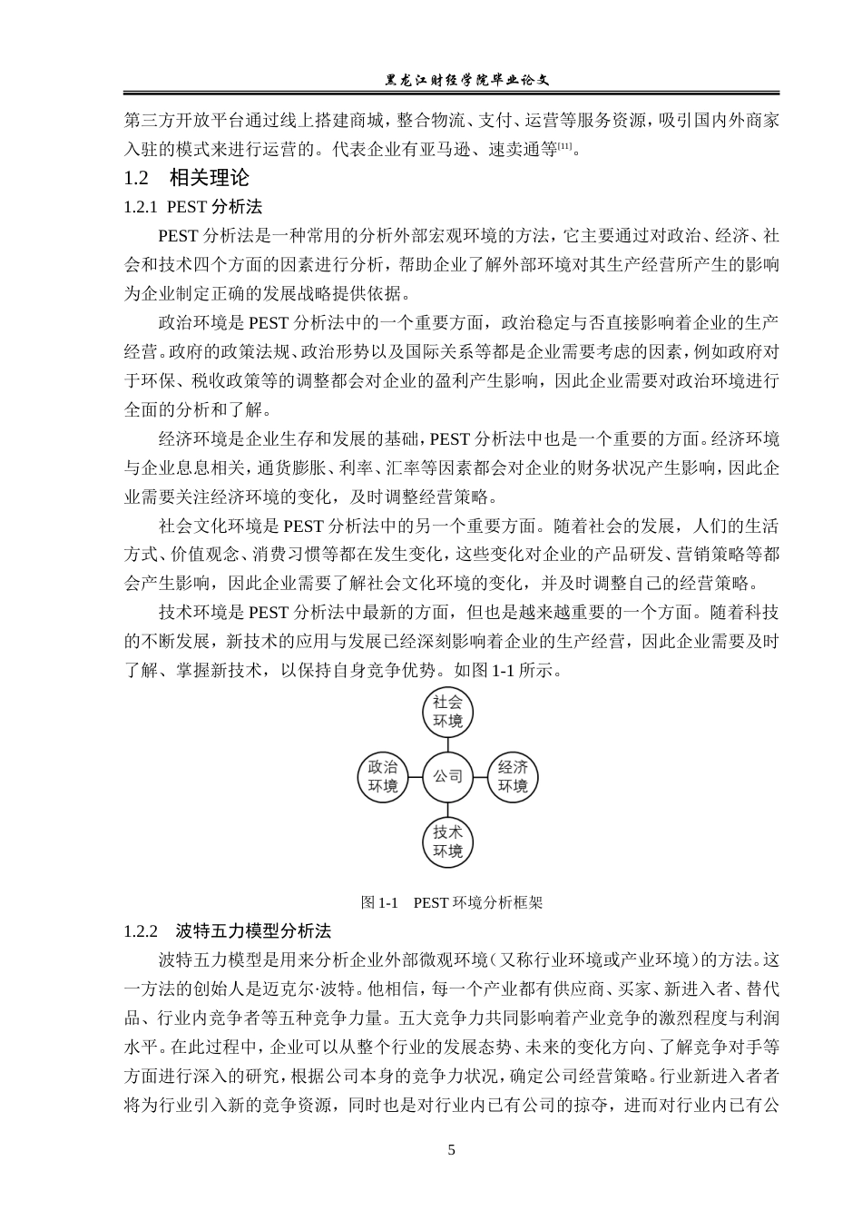 23年WP电子商务-《天飒企业跨境电子商务发展现状分析》-2019513028-张智博.doc_第10页