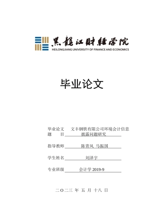 23年WP会计学-文丰钢铁有限公司环境信息披露问题研究-2019511789-刘泽宇.doc