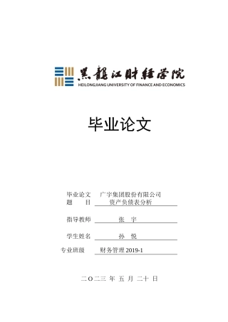 23年WP财务管理-广宇集团股份有限公司资产负债表分析-2019512236-孙悦.docx