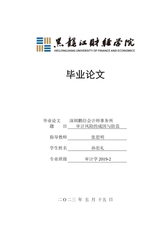 23年WP审计学-深圳鹏信会计师事务所审计风险的成因与防范-2019512120-孙忠礼.doc