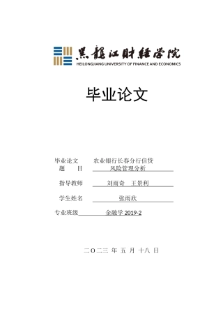 23年WP金融学-农业银行长春分行信贷风险管理分析-2019512283-张雨欣.doc