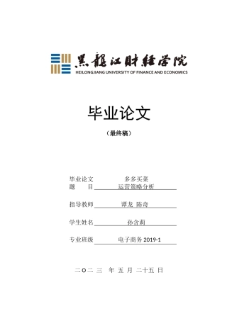 23年WP电子商务-多多买菜运营策略分析-2019513211-孙含莉.doc