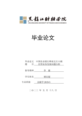 23年WP金融学-农业银行桦南县支行小额信贷业务发展问题分析-2019511858-谢宏超.doc