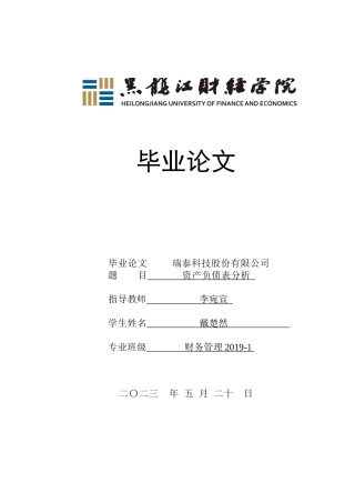 23年WP财务管理-瑞泰科技股份有限公司资产负债表分析-2019510487-戴楚然.docx