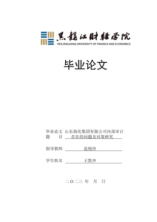 23年WP审计学-山东海化集团内部审计存在的问题及对策研究-2019511737-王凯申.docx