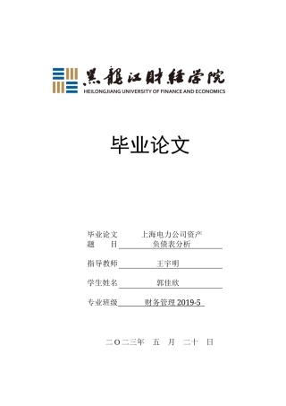 23年WP财务管理-上海电力资产负债表分析-2019511658-郭佳欣.docx